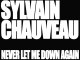 Sylvain Chauveau - Never Let Me Down Again