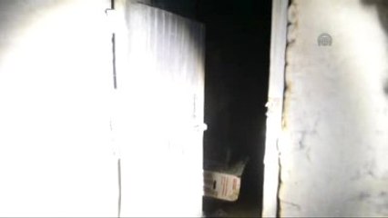 Edremit'te Bulunan Hayvan İskeleti Şaşırttı