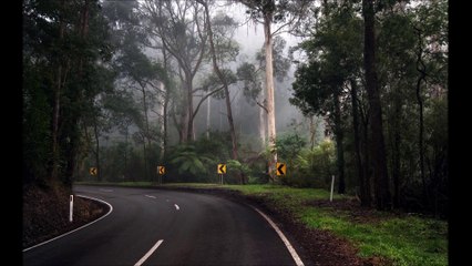 List Of Judgement Day Signs (Major and Minor)