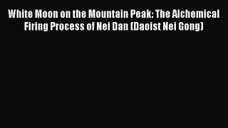 Download White Moon on the Mountain Peak: The Alchemical Firing Process of Nei Dan (Daoist