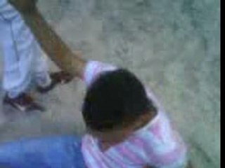 bince & senar