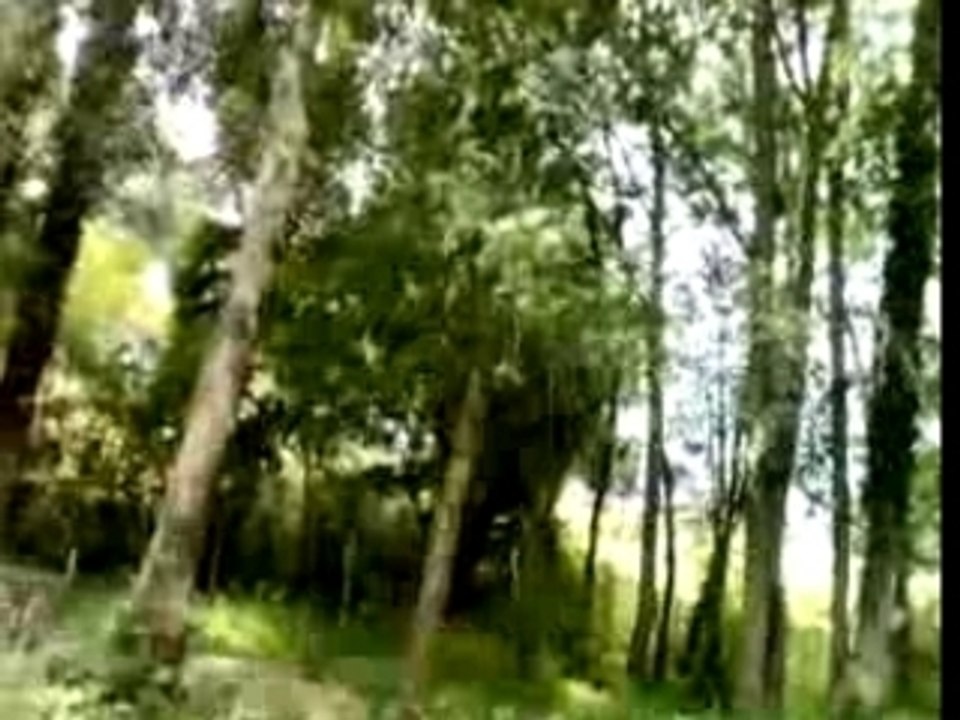 pique nique o paradis