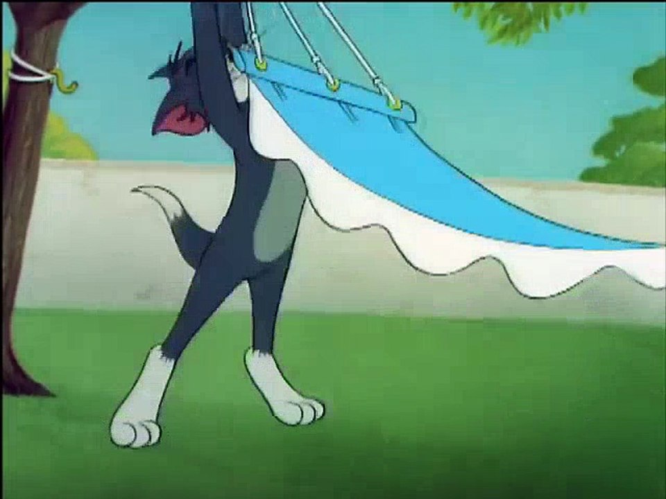 Tom and Jerry: In the Dog House -- "Cat Napping" -- Tree  Tom And Jerry Cartoons