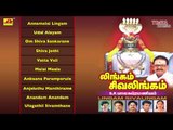 Lingam Sivalingam | Lord Shiva Songs | S.P.Balasubramanyam