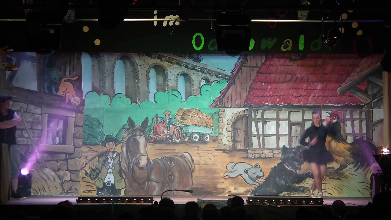 Bcv-sitzung 2012 - schwanensee modern