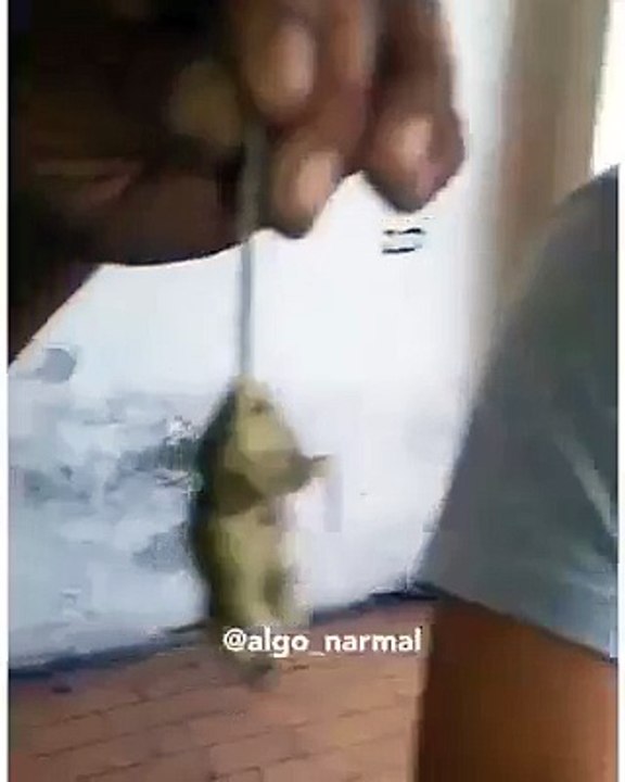 Yakkkkkkkkk