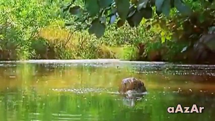 Pakistan Army Song MAIN NE JANMA HAI TUJH KO WATAN KE LIYE (HD)