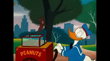 Donald Duck - The Flying Squirrel  Donald Duck Cartoons