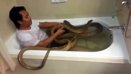 A man try to kiss the snake and amazing reaction