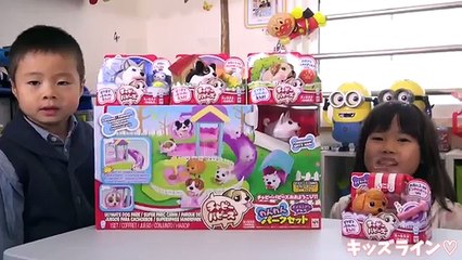 チャビーパピーズ わんわん パークセット 犬 おもちゃ Chubby Puppies Ultimate Dog Park Playset Toy