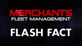 Merchants Top IT Professionals Flash Fact