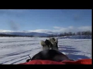 Dernier jour de traineau avant raid 1 (suède)