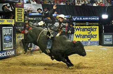 Boğaya Binen Kovboyların Zor Anları