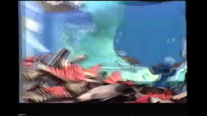 Opening To The America Joined 2002 VHS