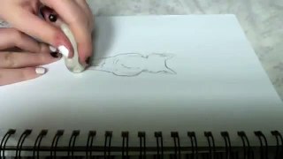 Cat | Drawing Time Lapse
