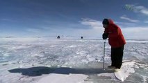 Beauty Under Antarctica's Ice Sheet, Icebergs & Penguins 82