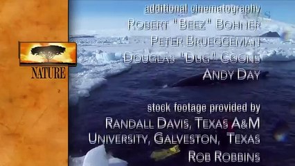 Beauty Under Antarctica's Ice Sheet, Icebergs & Penguins 1