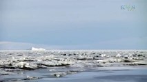 Beauty Under Antarctica's Ice Sheet, Icebergs & Penguins 19