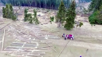 Українські Карпати стрімко втрачають зелені насадження: вражаюча аерозйомка