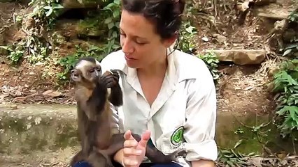 Shiko se si Majmuni i jep ushqim Gazetares