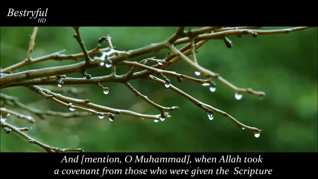 The most heart soothing Quran Recitatoin very beautiful & emotoinal by Mu'ayyid al-Mazen