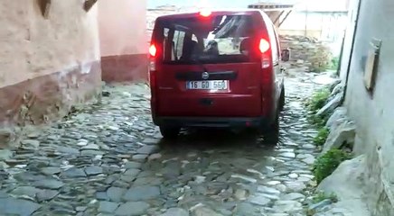 VID-20160109-WA0030