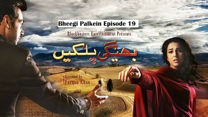 Bheegi Palkein Episode 19 on Hum Tv in High Quality 18 March 2016