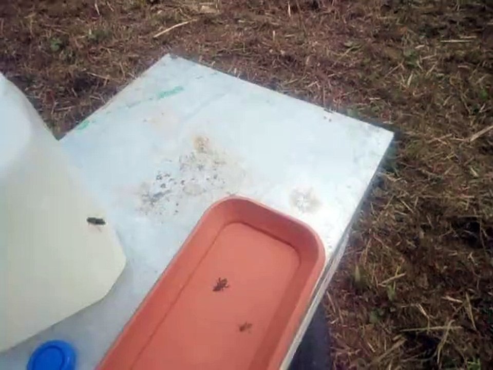 Τροφοδότηση με τετράκιλο μπουκάλι