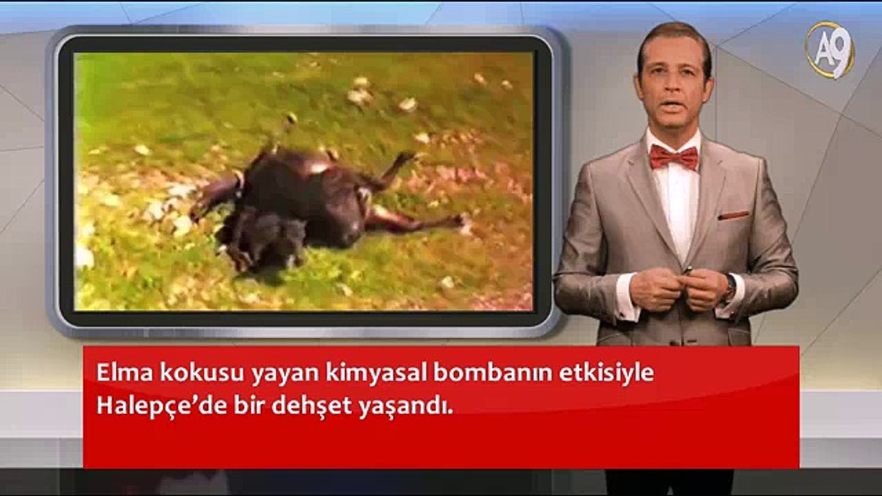 Halepçe katliamı (belgelerle)