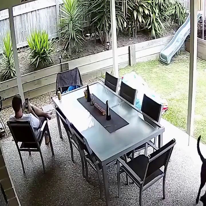 Dog Saves Owner From Poisonous Snake