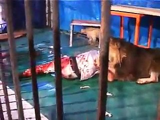 Death in lions Claws