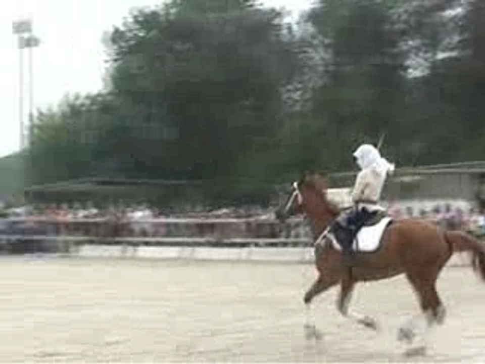 Fete du club 10 juin 2007 carrousel CSO chevaux