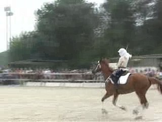 Fete du club 10 juin 2007 carrousel CSO chevaux