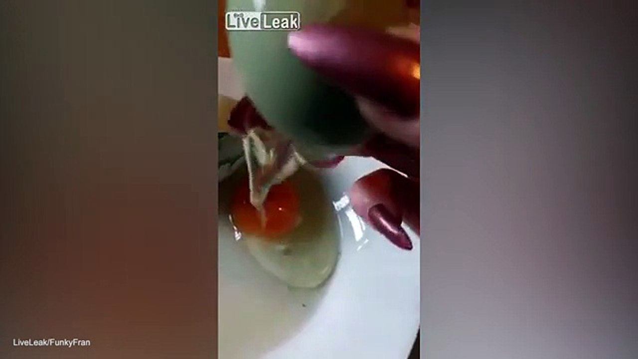 FunkyFran cracks open an egg only to find ANOTHER INSIDE