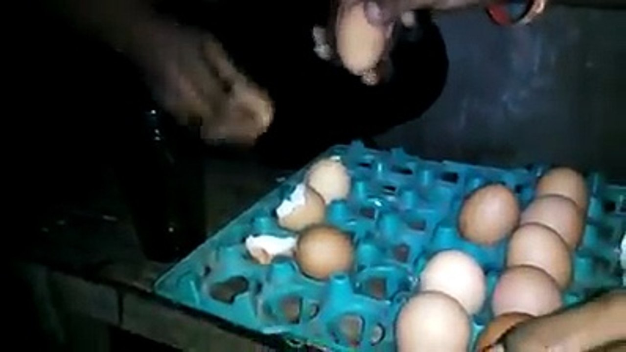 drunk eggs a man