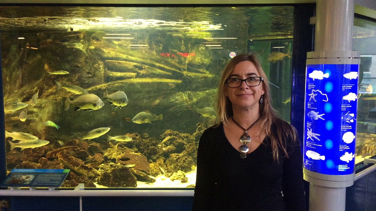 Aquarium en langue des signes française