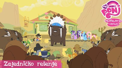 Moj Mali Poni | S01E21 - Zajedničko rešenje [SRB, Minimax]