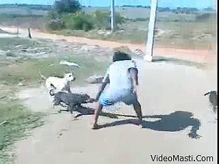 Do Pair Wala Kutta Dusre Kutta