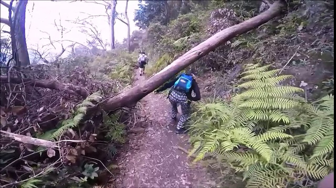 Australien 2015/2016