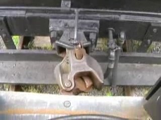 WK&S: A Walk Through the Forest