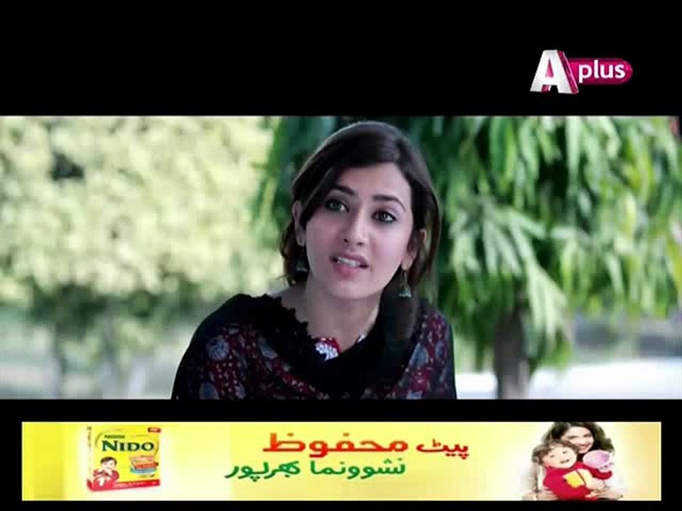 Bhai Episode 14 on Aplus