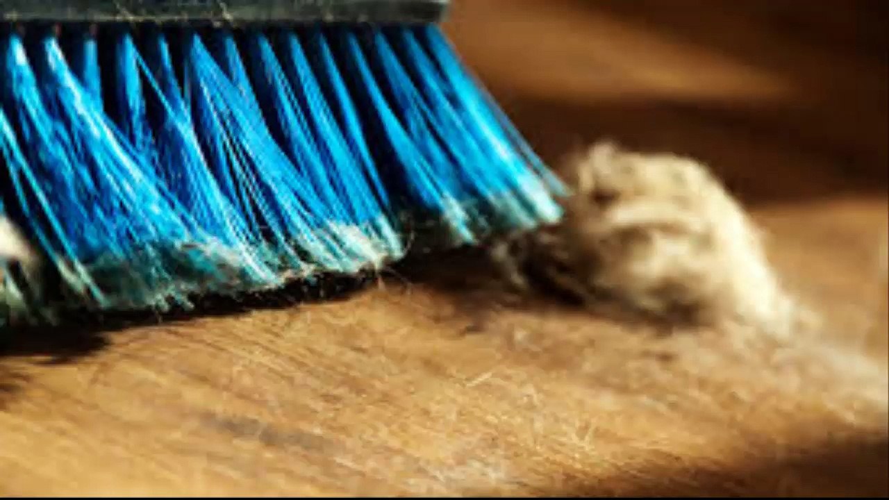 VASTU - Dust at home bring negative energy - bad vastu