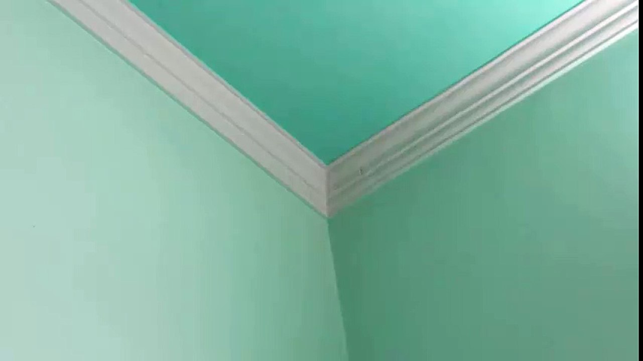 VASTU - Cobweb  (Makri ka jaala) is bad vastu in house