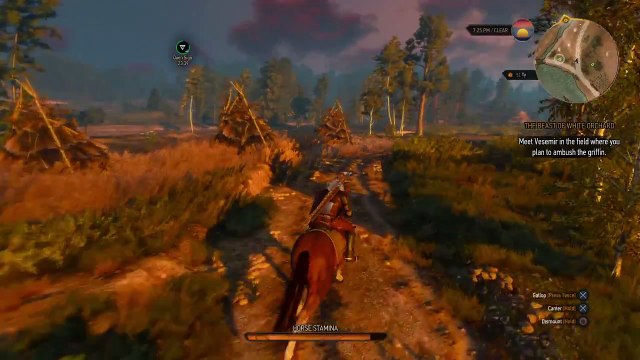 The Witcher 3: Wild Hunt Gameplay Part 6 WTF