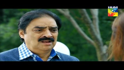 Gul E Rana Episode 19 Full - 19th March 2016