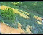 Güzel bir Keklik Avı Videosu