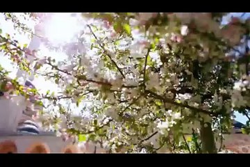 Azaan in beautiful Voice