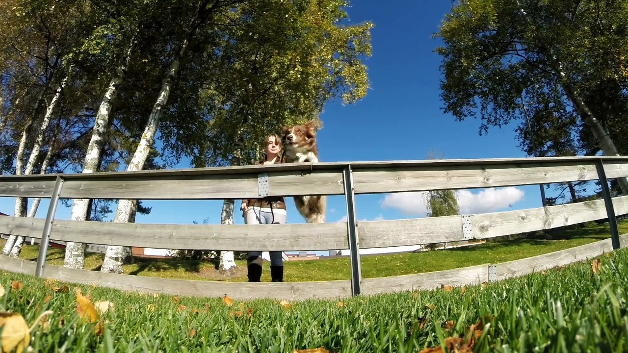 GoPro Best of 2015 - The Year in Review