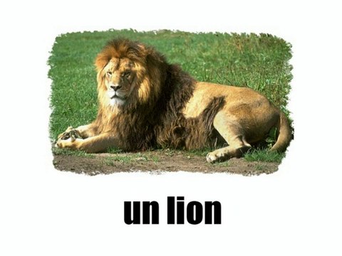 Learn French - Les animaux vol1