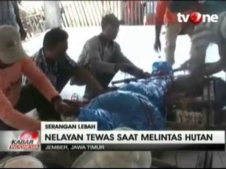 Pencari Kerang Tewas Disengat Kawanan lebah